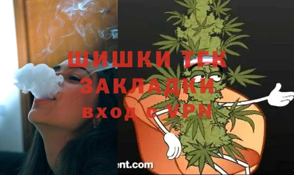 твердый Алексин