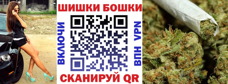 как найти наркотики  Тутаев  Конопля план 